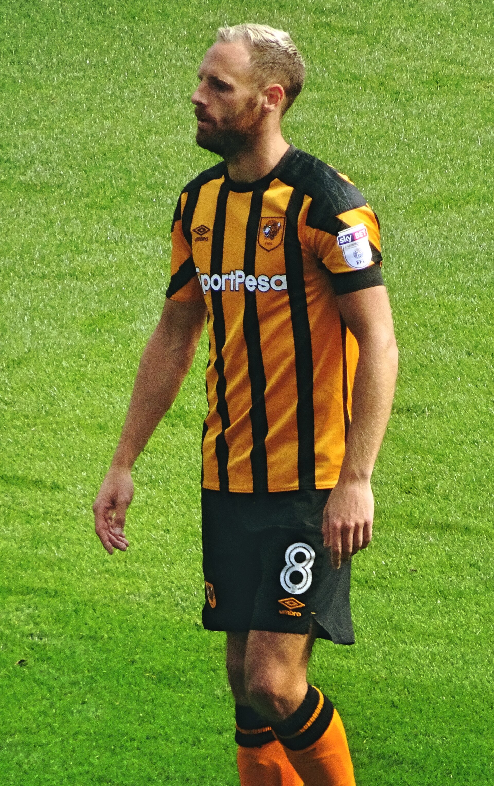 Imagem de referência relacionada a David Meyler, item descrito como futebolista irlandês