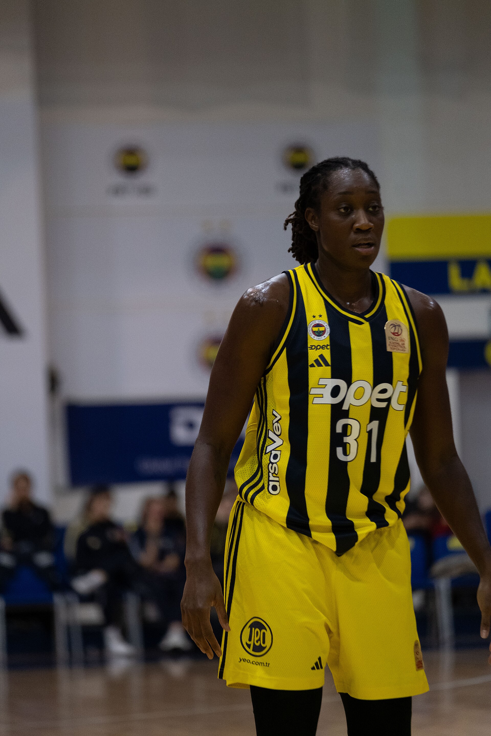 Imagem de referência relacionada a Tina Charles, item descrito como jogadora de basquetebol norte-americana