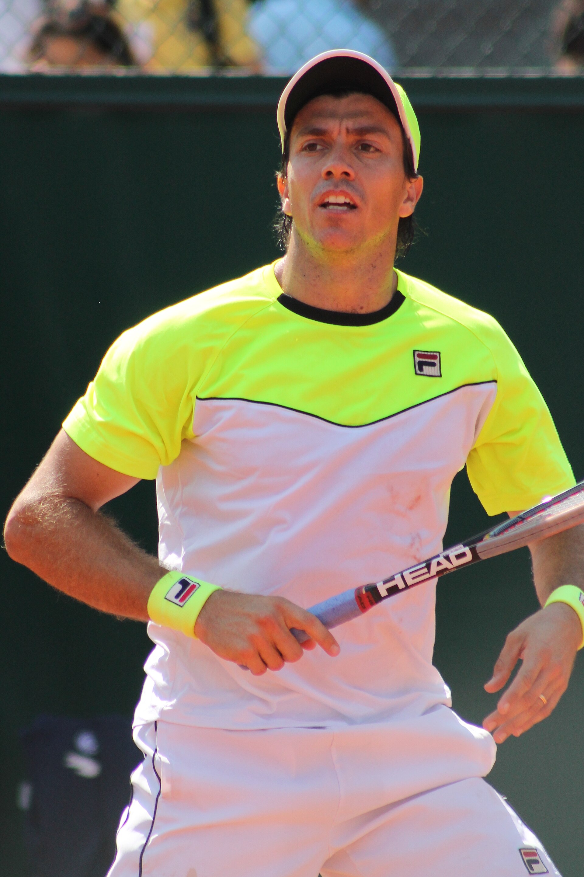 Imagem de referência relacionada a Carlos Berlocq, item descrito como tenista argentino