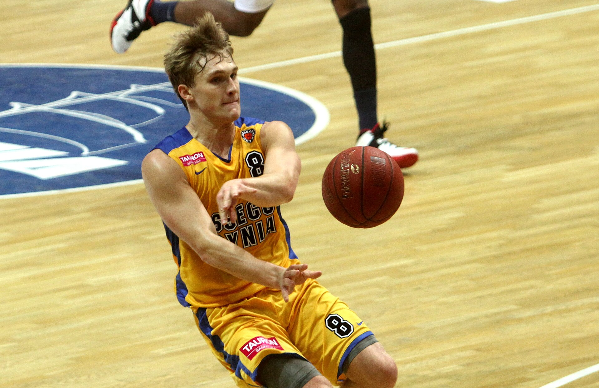 Imagem de referência relacionada a Filip Matczak, item descrito como jogador de basquetebol polaco