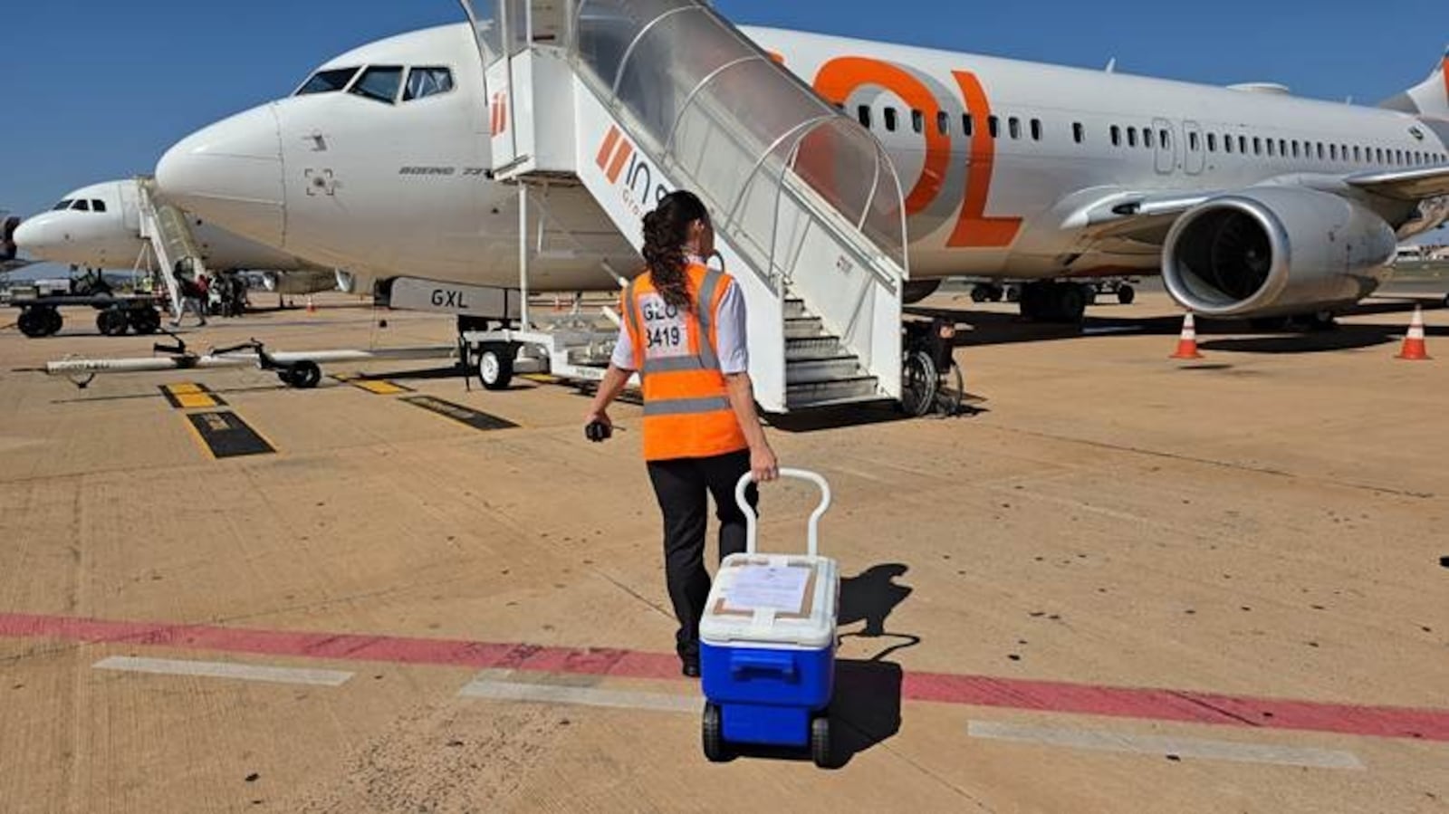 Transporte aéreo: redução no tempo de operação dentro dos prazos necessários para cada órgão Aeroporto de Goiânia