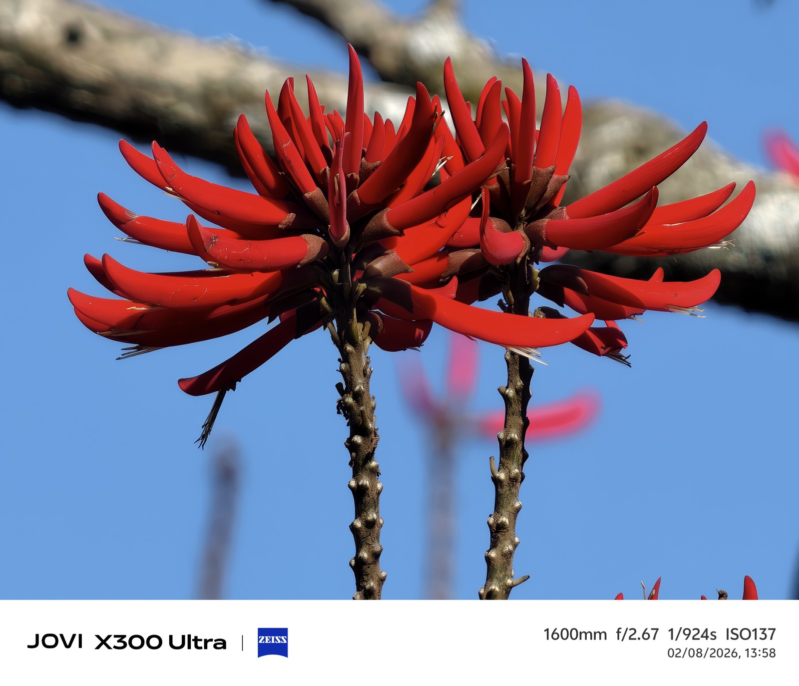 Os 5 melhores celulares topo de linha testados pelo TechTudo até agora