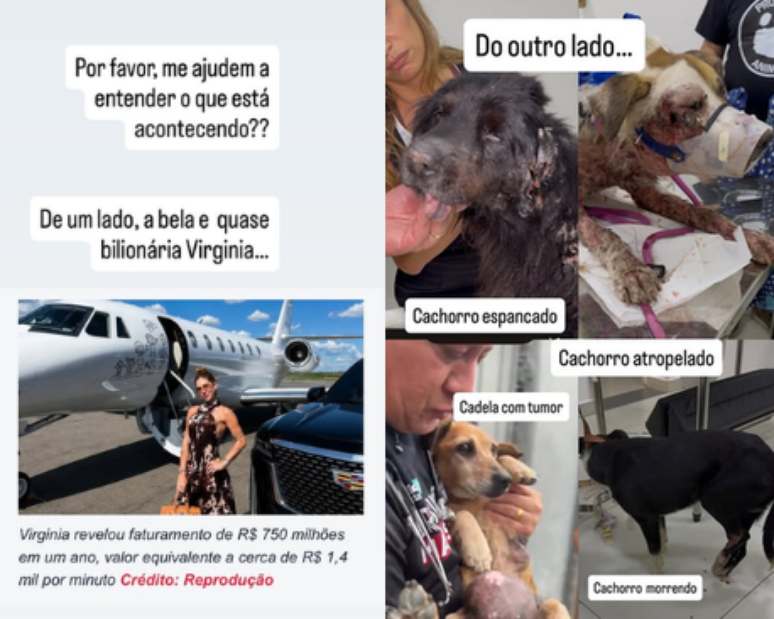 Luisa Mell se indigna com valor arrecadado por Virginia em live e compara com situação de animais: 'O que está acontecendo?'