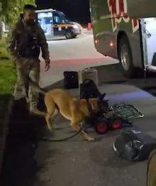 Polícia irlandesa encontra carregamento de pirulitos recheados com R$ 3 milhões em cocaína