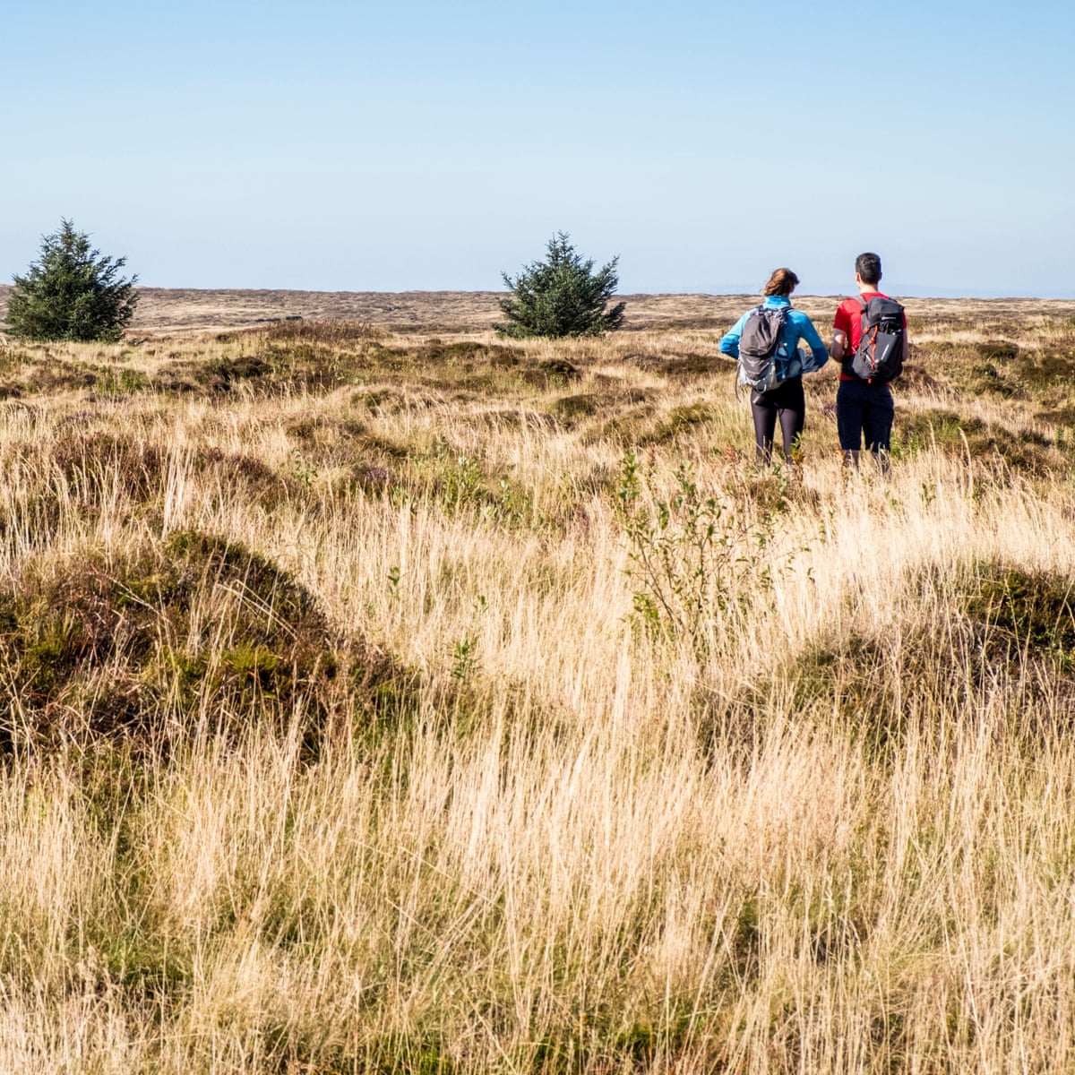 Nós recebemos a notícia de que a IA poderia extinguir-nos com uma indiferença vidrada. Qual é a saída desse niilismo?