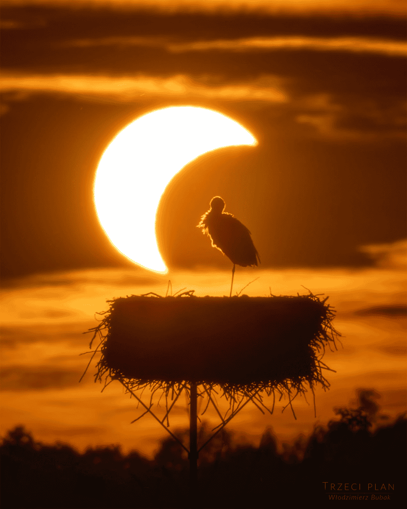 Lançamento do Roman e eclipse solar nas Imagens Astronômicas da Semana