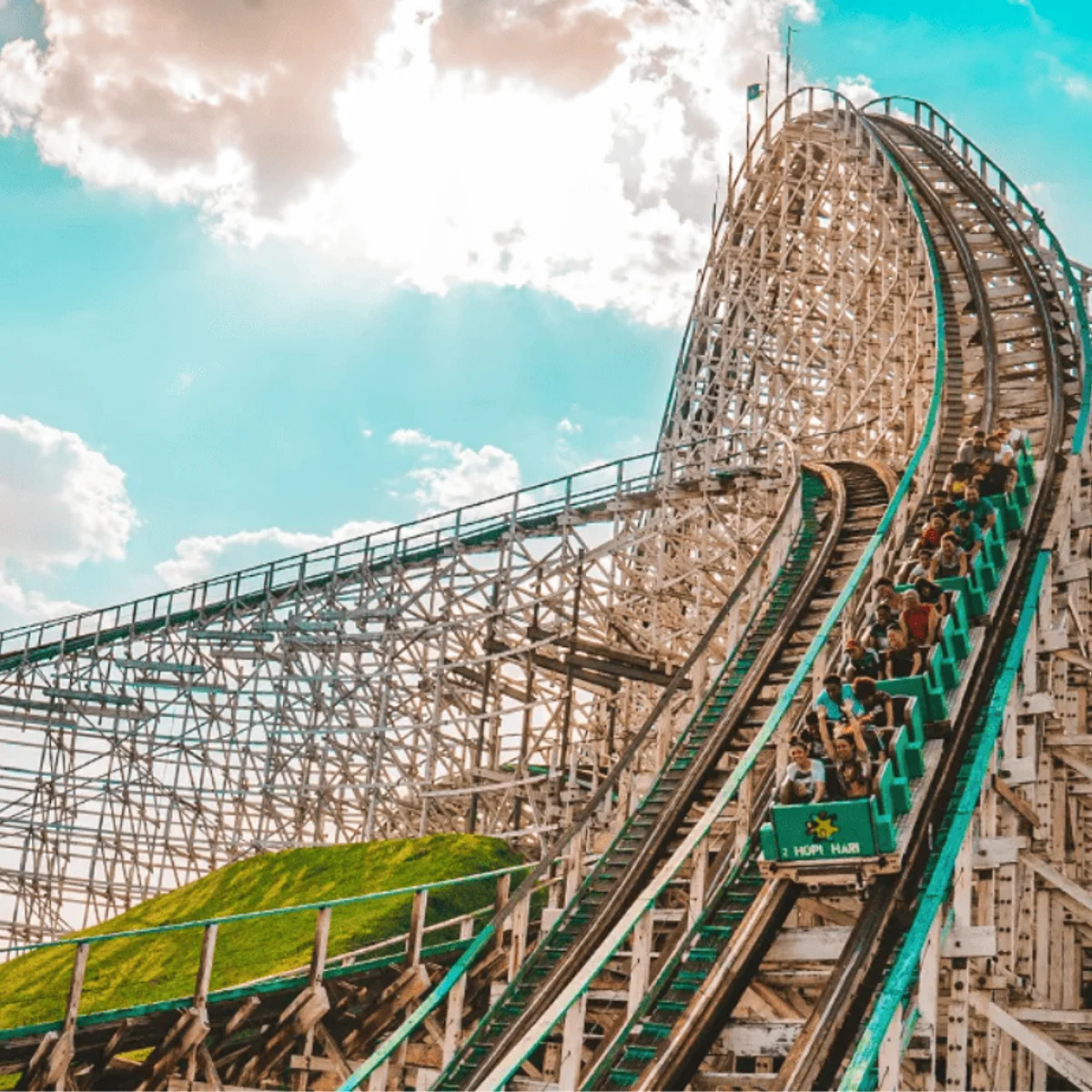 Jovem perde movimento após andar em montanha-russa do Hopi Hari. MPSP apura