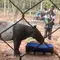 Tapir Terperosok di Perkebunan Sawit, Lokasinya Cuma 800 Meter dari Tol