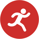 Deserto ganha "tapete de flores" após chuvas intensas causadas pelo El Niño