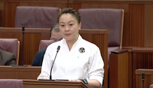 Diana Pang on Finance (Income Taxes) Bill