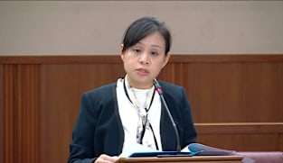 Elysa Chen on Finance (Income Taxes) Bill