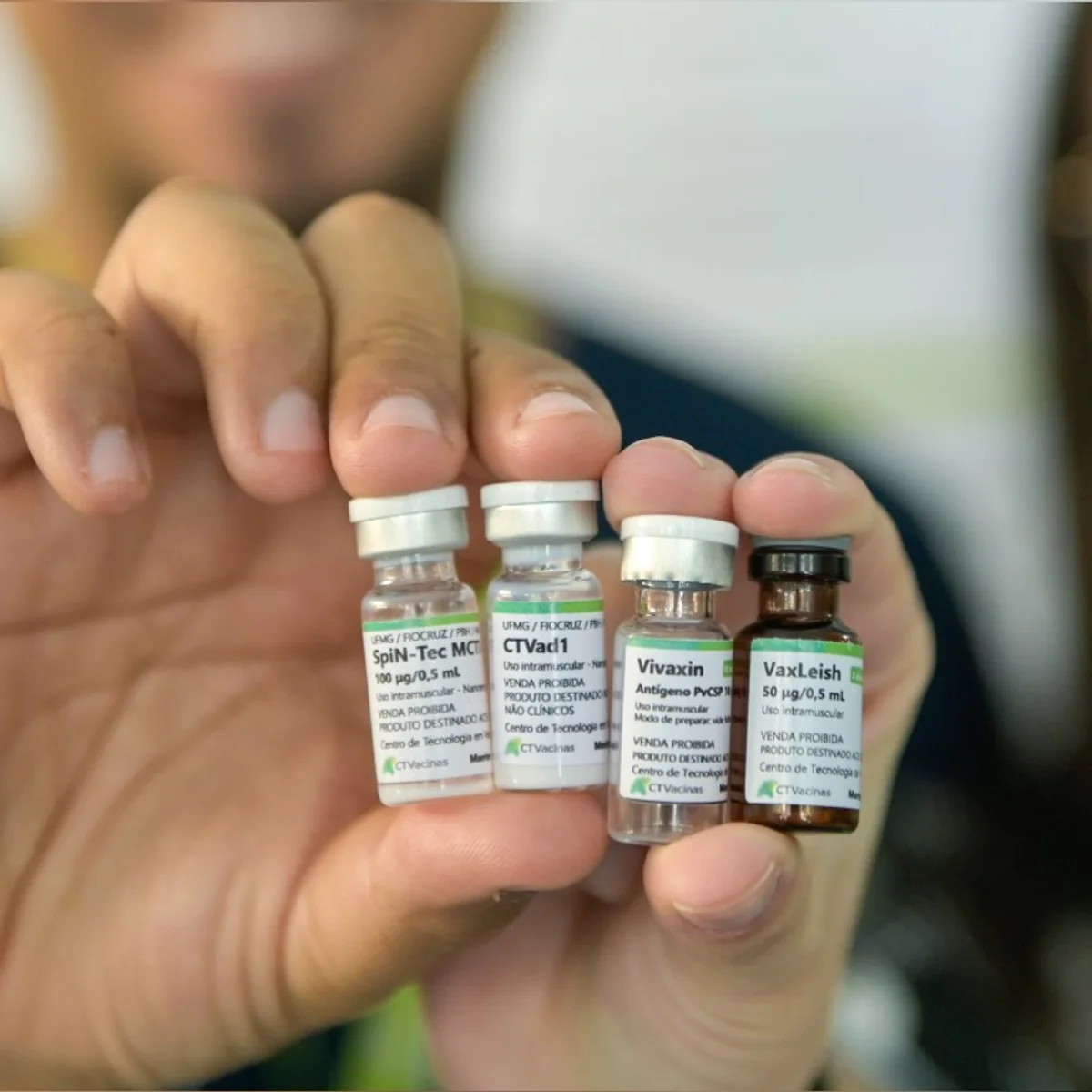 Vacina contra a malária será testada em humanos em Belo Horizonte