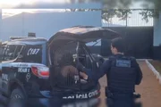Ao grupo é atribuída a autoria de pelo menos 11 furtos consumados