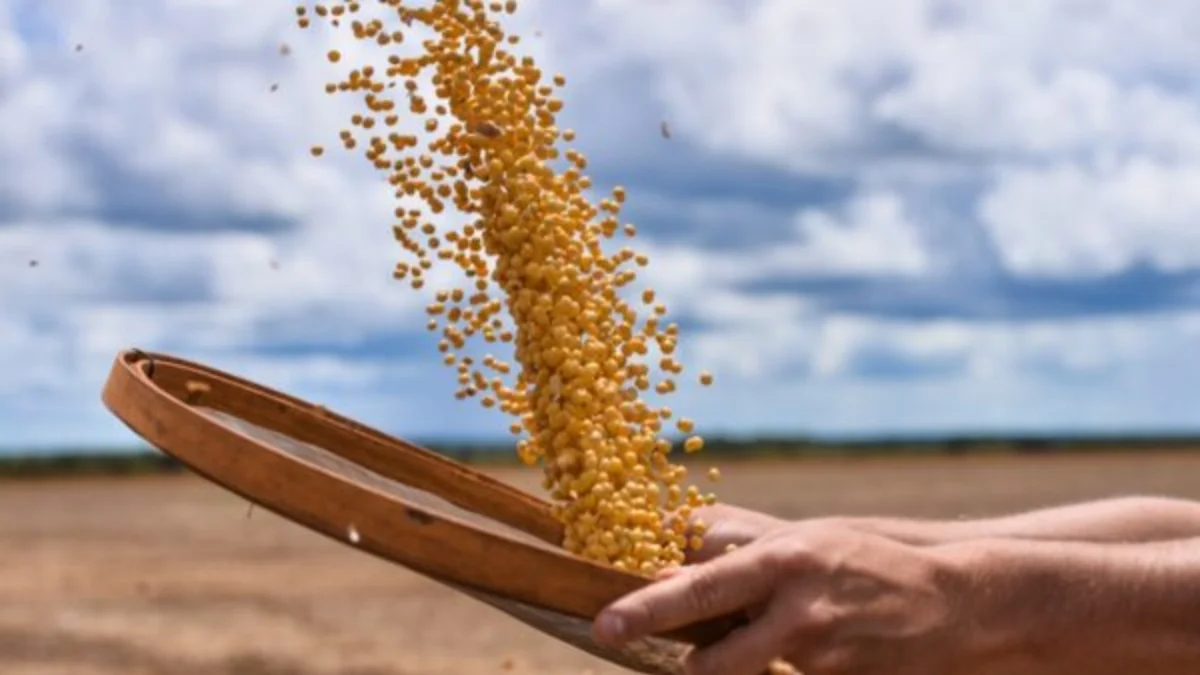 Brasil atinge marca de 700 mercados abertos para produtos agropecuários