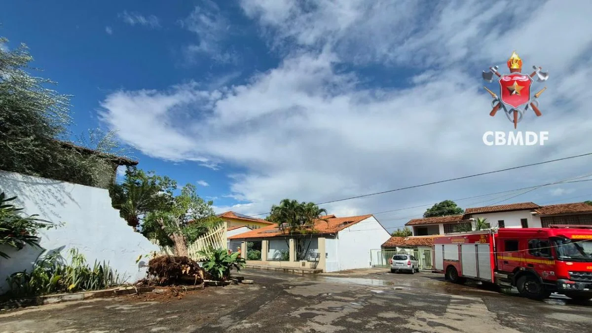 Chuva forte derruba árvore sobre muro de casa no Lago Norte