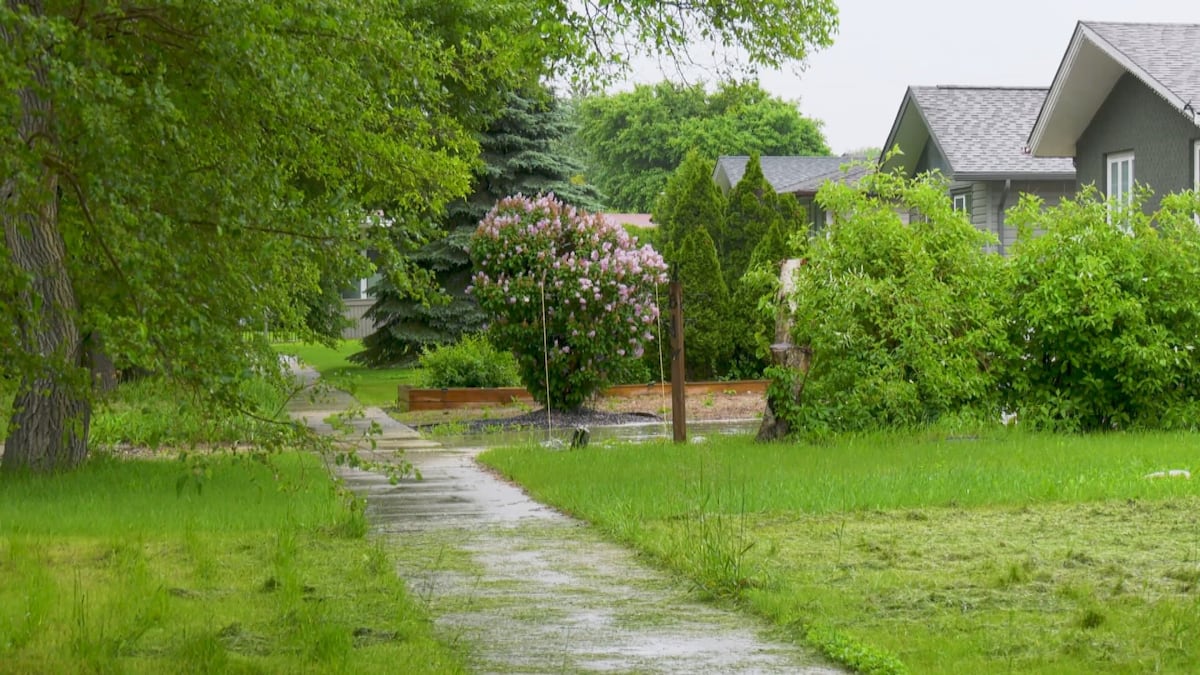 Woman charged with second-degree murder in death of 73-year-old: police