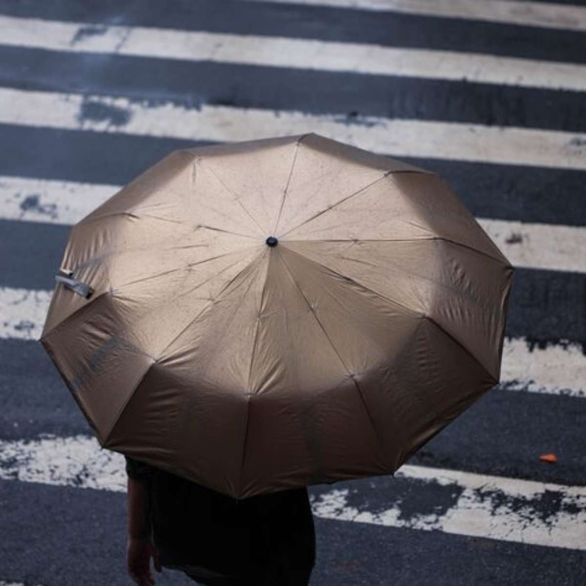 Chuva forte pode marcar domingo de eleição; veja a previsão e como se organizar para votar