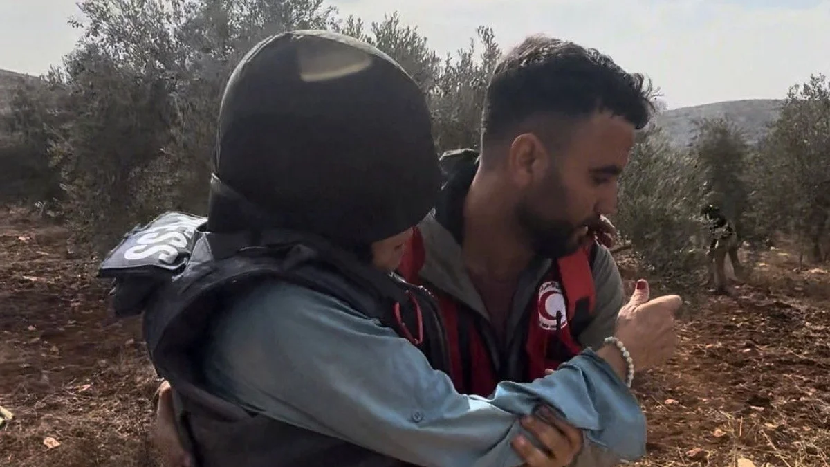 Israel comete 'mediacídio' para ocultar suas atrocidades em Gaza, diz especialista da ONU