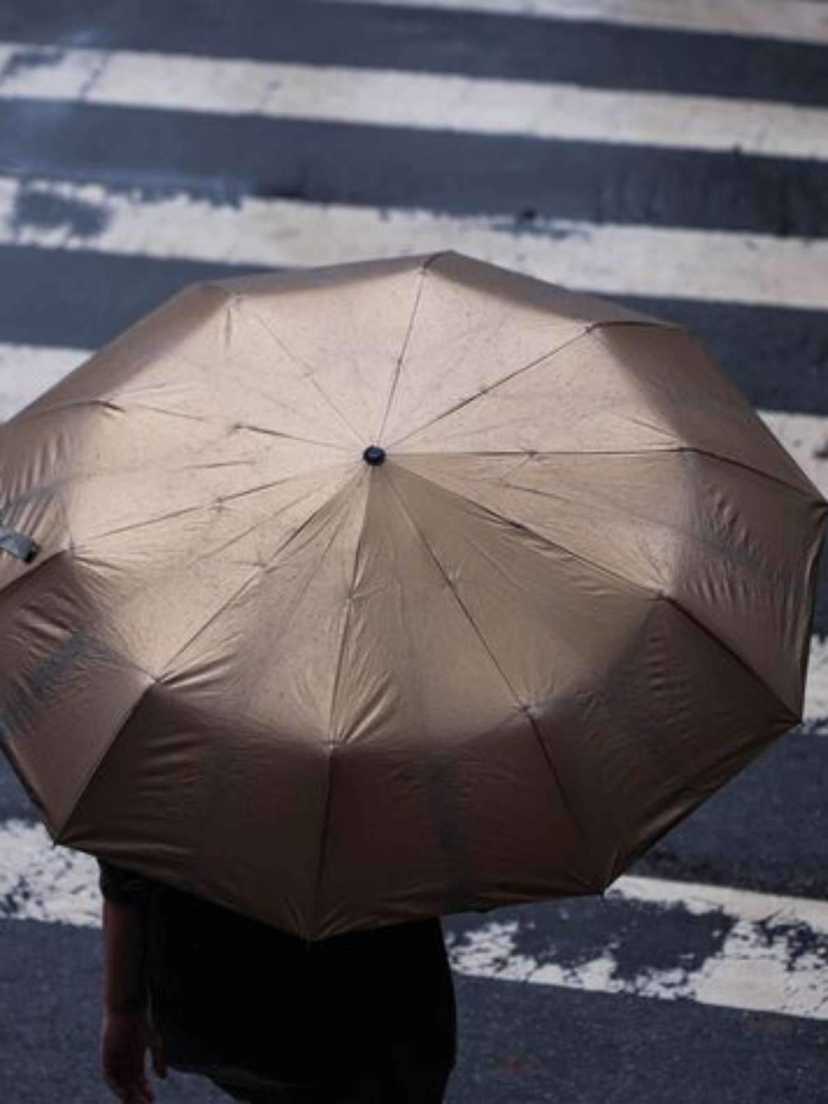 Chuva forte pode marcar domingo de eleição; veja a previsão e como se organizar para votar