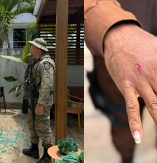 Macaco-prego invade casas na Bahia, ingere álcool e deixa feridos antes de ser capturado pela Polícia Foto: Divulgação/PMBA/COPPA