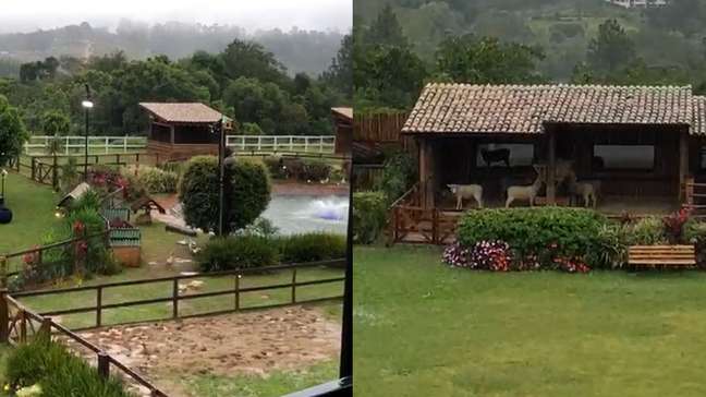 A Fazenda: Ariela e Giovanna jogam leite uma na outra e provocam briga generalizada