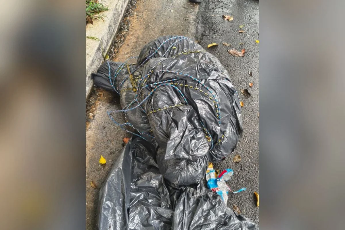 Corpos em sacos de lixo: veja casos ligados à teoria de serial killer