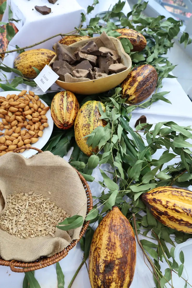 A Costa do Marfim traz a arte do chocolate e os sabores da diplomacia para a África do Sul