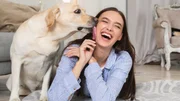 O que evitar ao chegar em casa para não gerar estresse ou ansiedade no pet