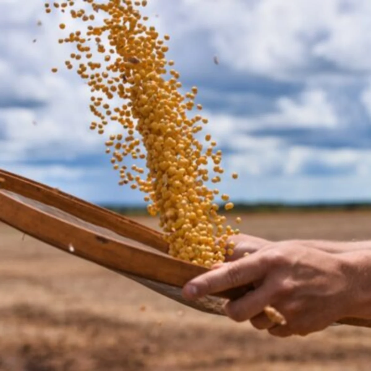 Brasil atinge marca de 700 mercados abertos para produtos agropecuários