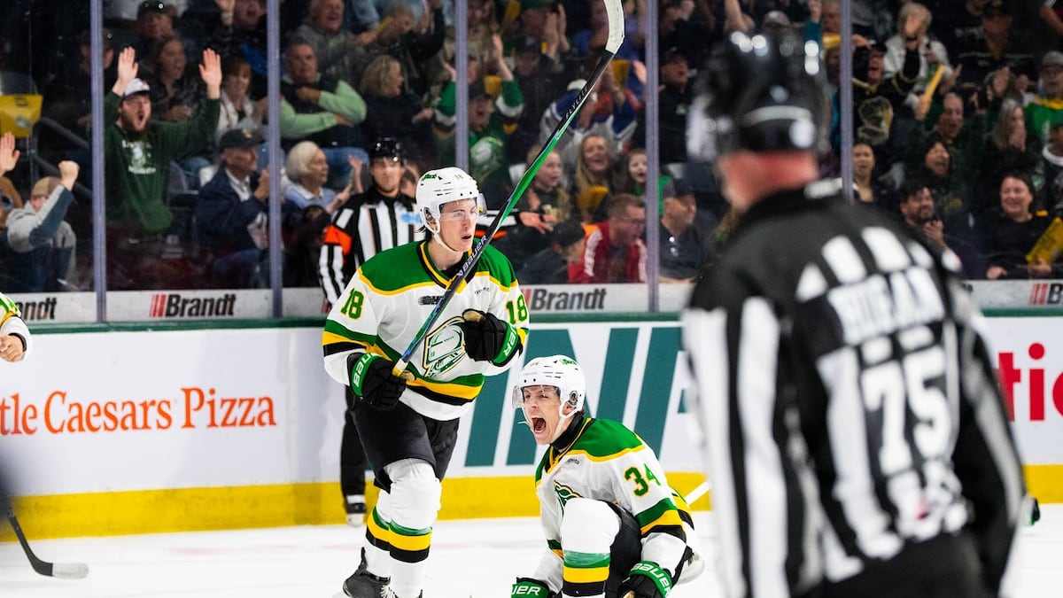 London Knights bounce back with win over Sarnia