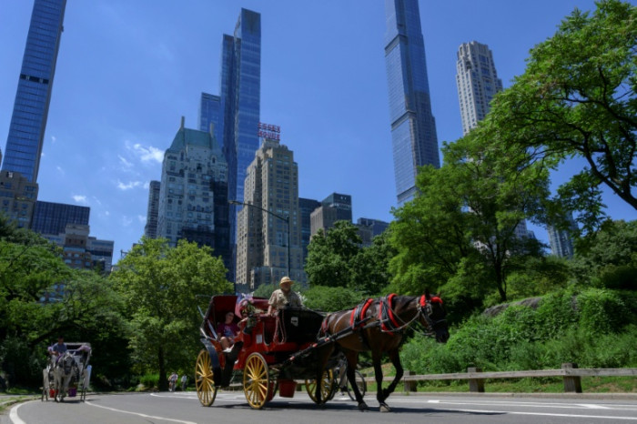 Nova York vota para proibir carruagens de cavalo no Central Park após décadas de debate