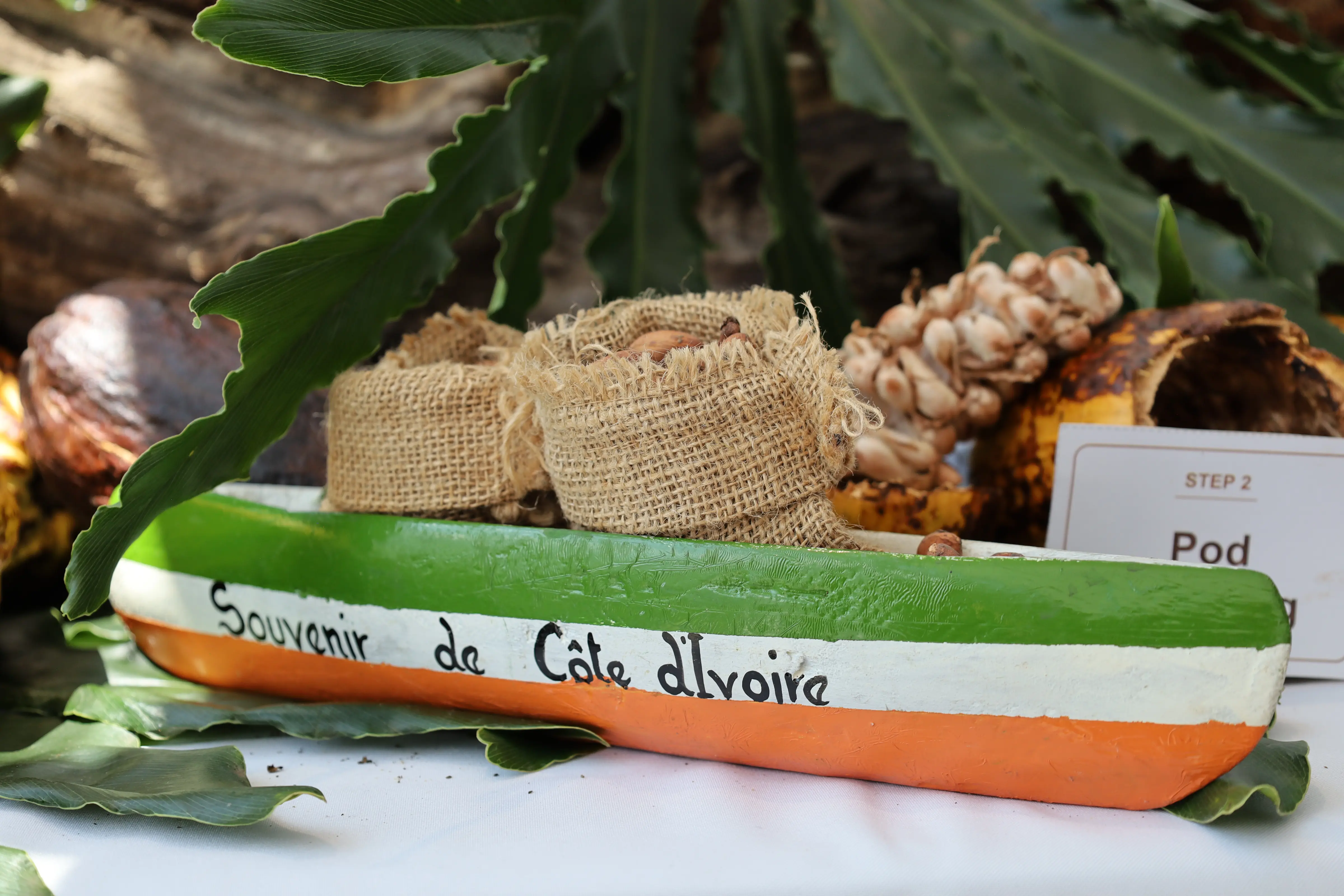 A Costa do Marfim traz a arte do chocolate e os sabores da diplomacia para a África do Sul