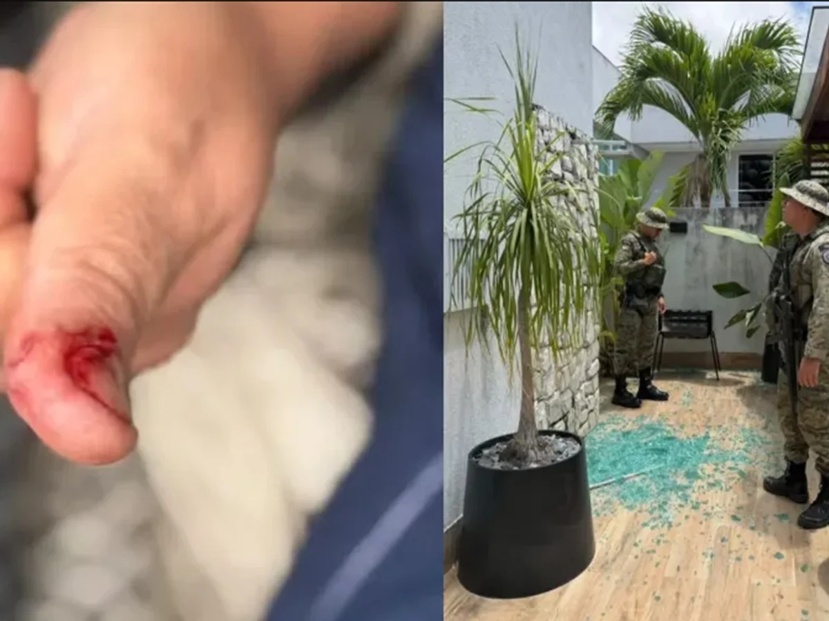 Macaco de ex-deputado foge e causa confusão após beber álcool e remédios