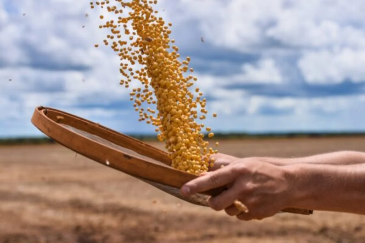 Brasil atinge marca de 700 mercados abertos para produtos agropecuários