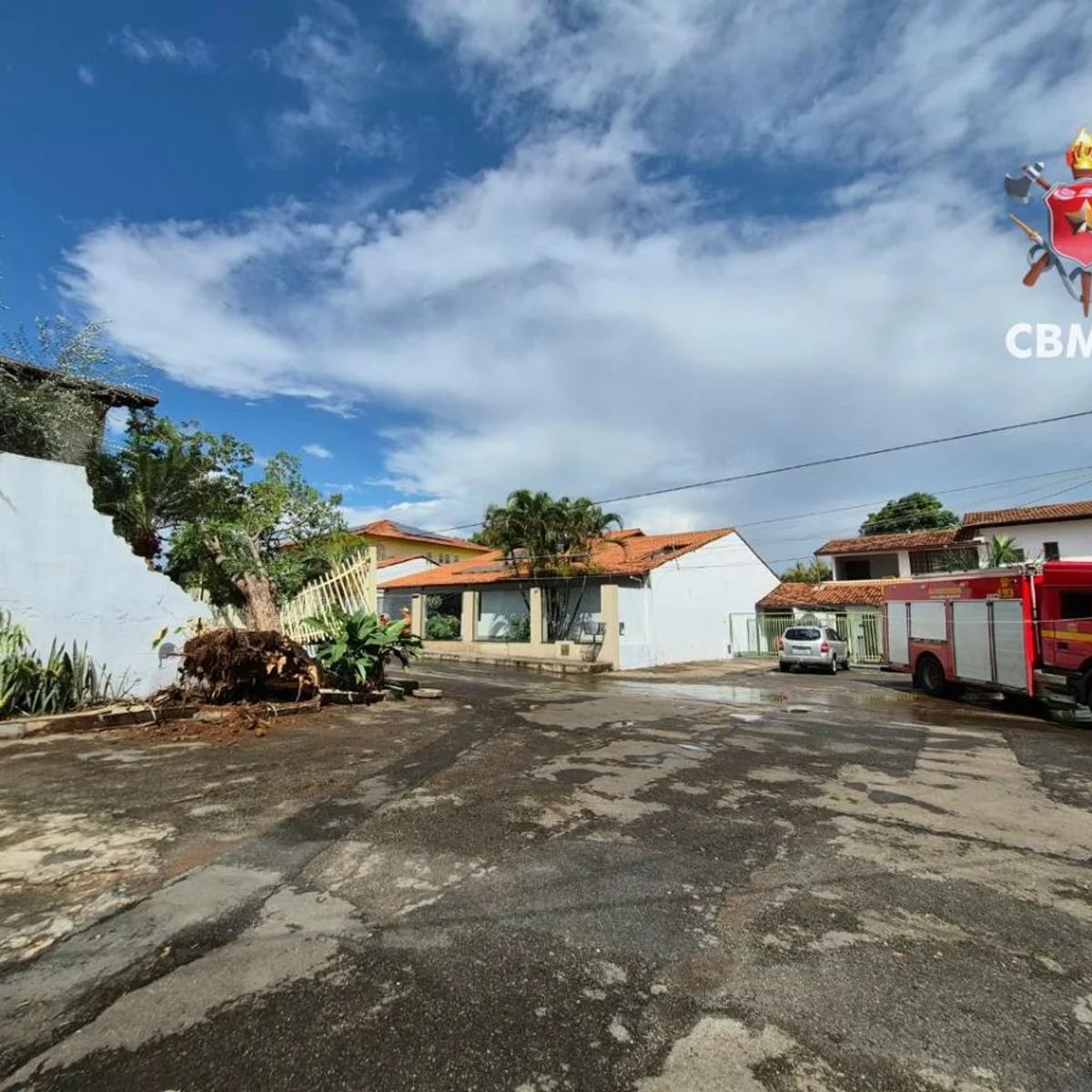Chuva forte derruba árvore sobre muro de casa no Lago Norte