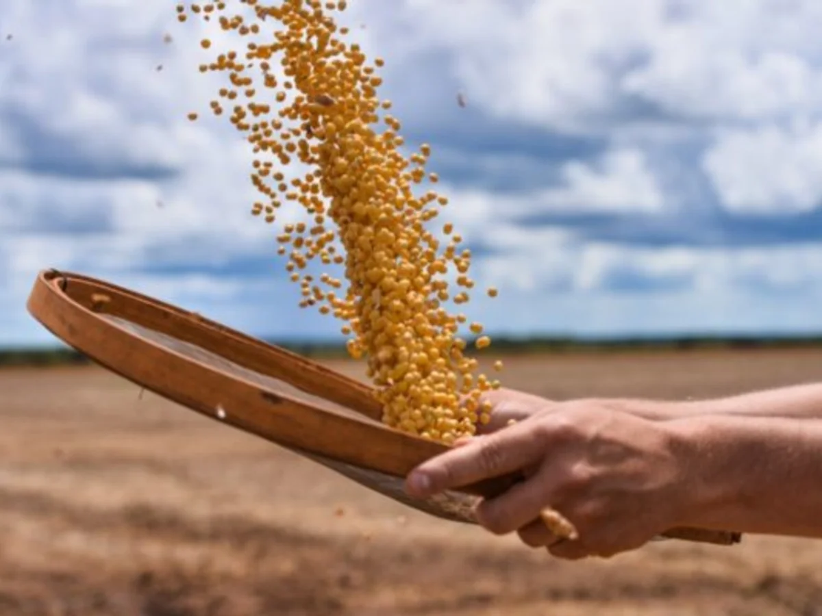 Brasil atinge marca de 700 mercados abertos para produtos agropecuários